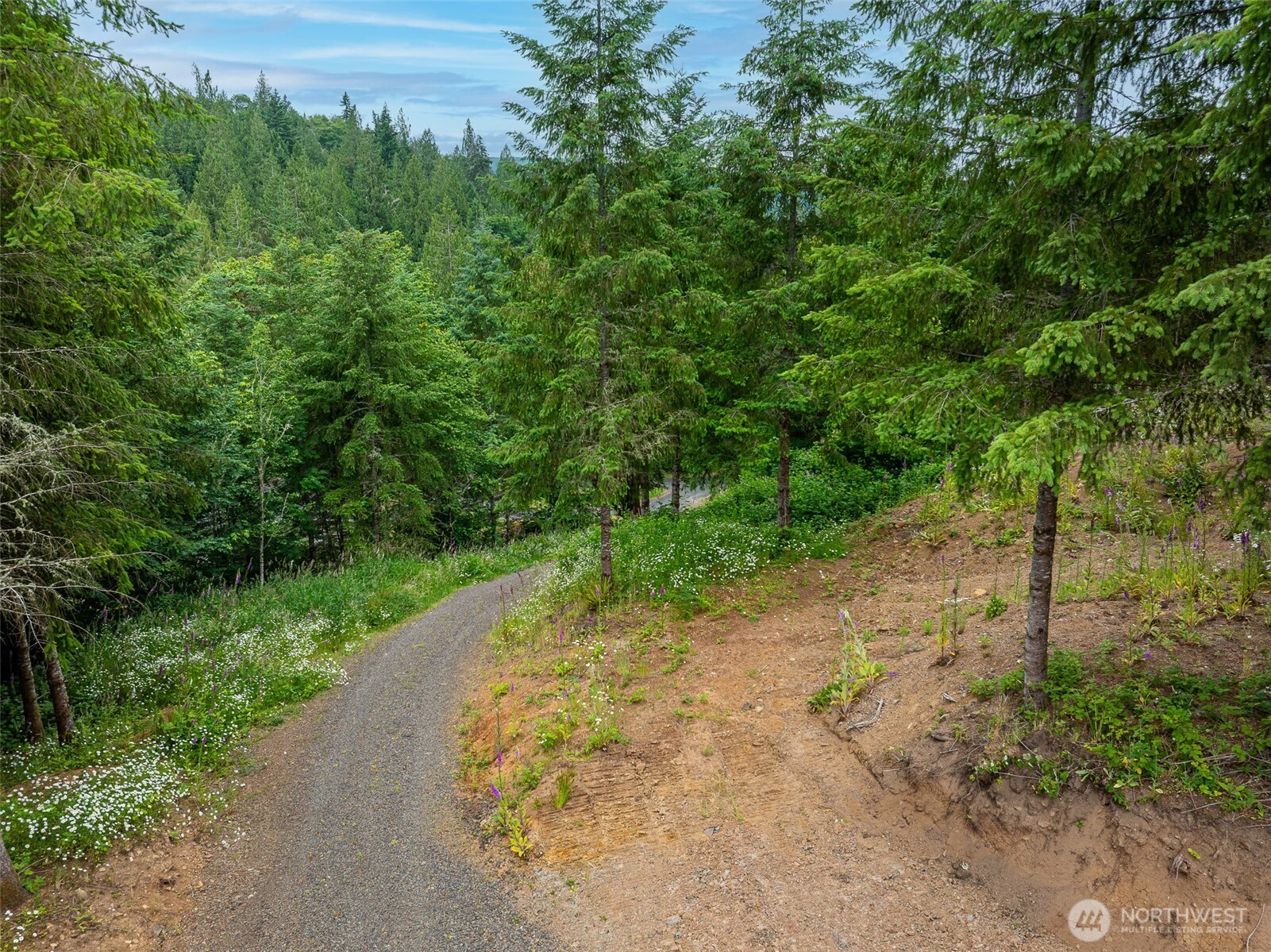 0 Mahaffey Road Kelso, WA 98626 - Photo 28 of 28 Gallery Image 28