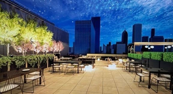 310 South Michigan Avenue, Unit 1100 Chicago, IL 60604 - Photo 30 of 44