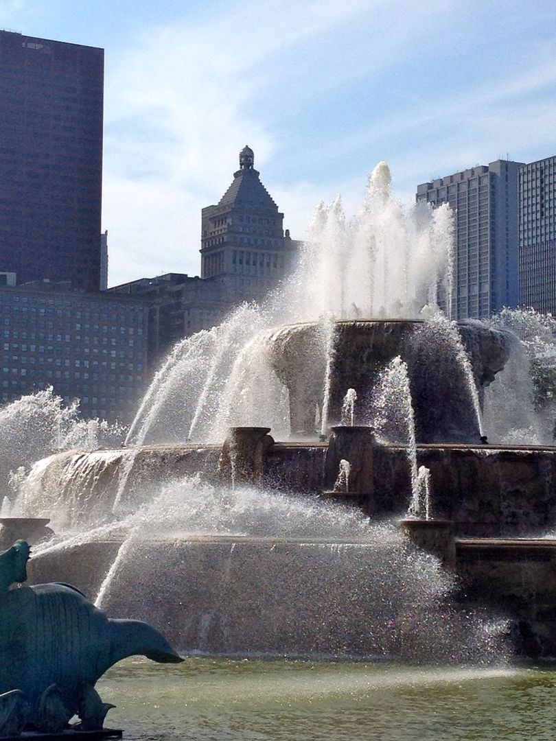 310 South Michigan Avenue, Unit 1100 Chicago, IL 60604 - Photo 41 of 44