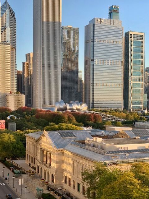 310 South Michigan Avenue, Unit 1100 Chicago, IL 60604 - Photo 8 of 44