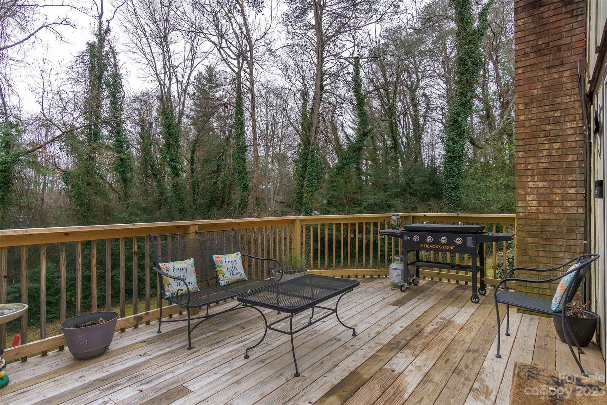 63 Quail Ridge Road Mills River, NC 28759 - Photo 33 of 48 Gallery Image 33