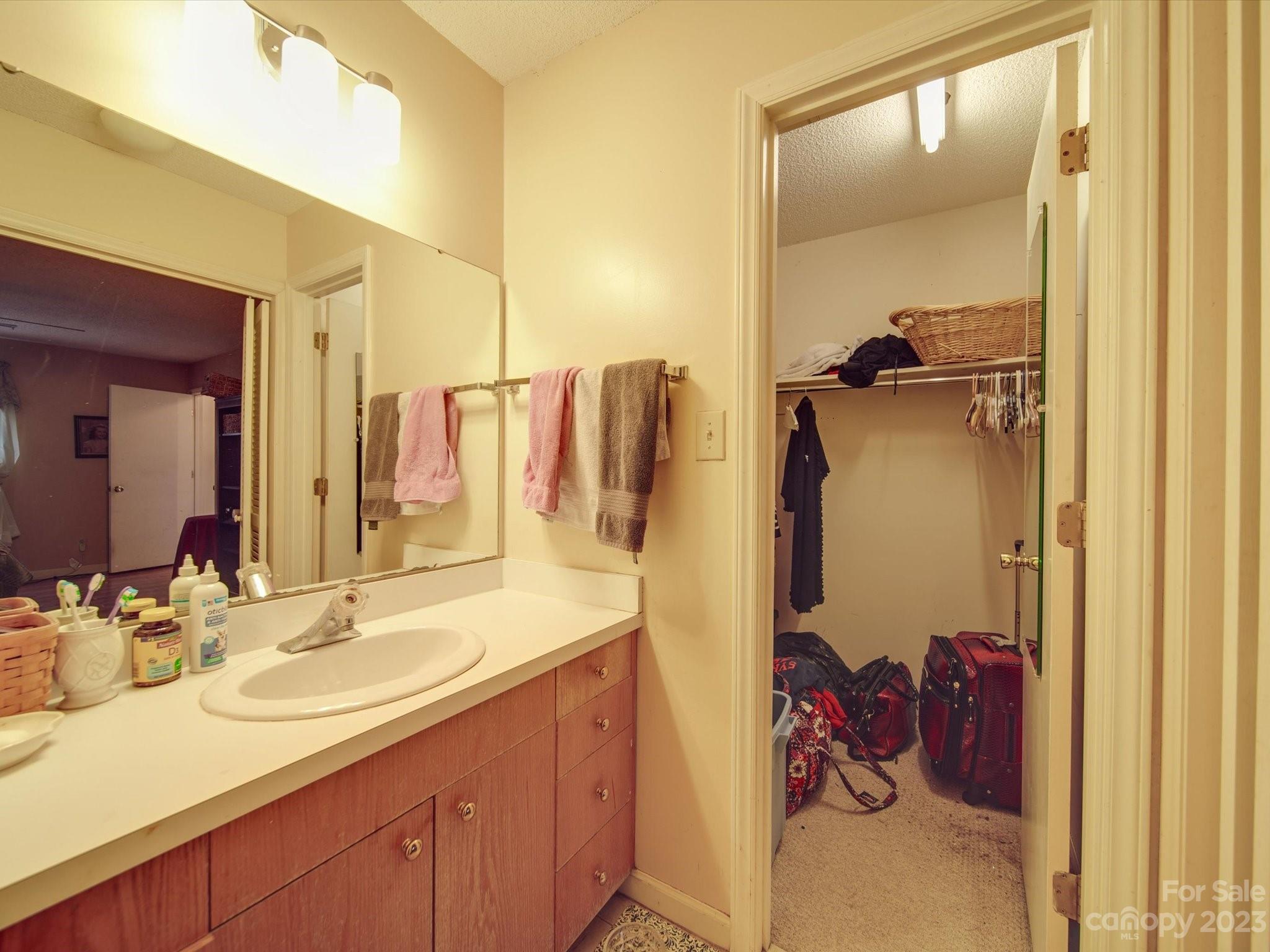 8009 Lighthouse Way Indian Trail, NC 28079 - Photo 20 of 26 a bathroom with a sink and a mirror
