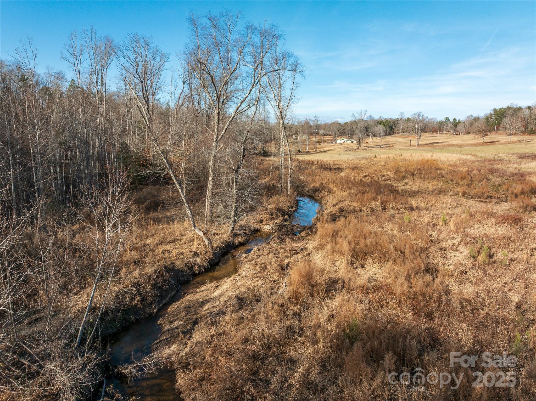 8-acres Polk County Line Road Rutherfordton, NC 28139 - Photo 19 of 25 a view of a yard with wooden fence