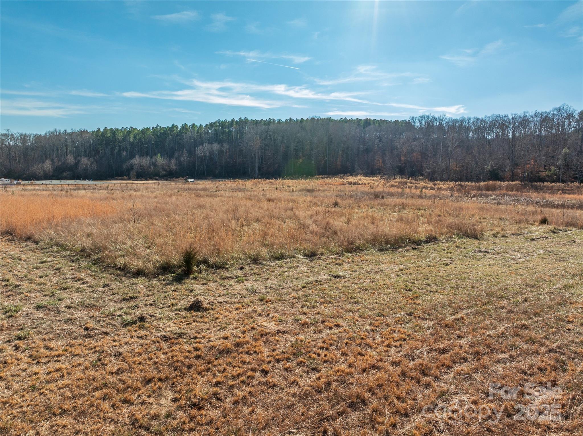 8-acres Polk County Line Road Rutherfordton, NC 28139 - Photo 23 of 25 a view of a backyard