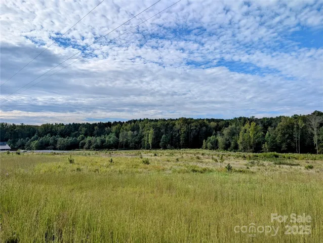a view of a grassy area with an ocean