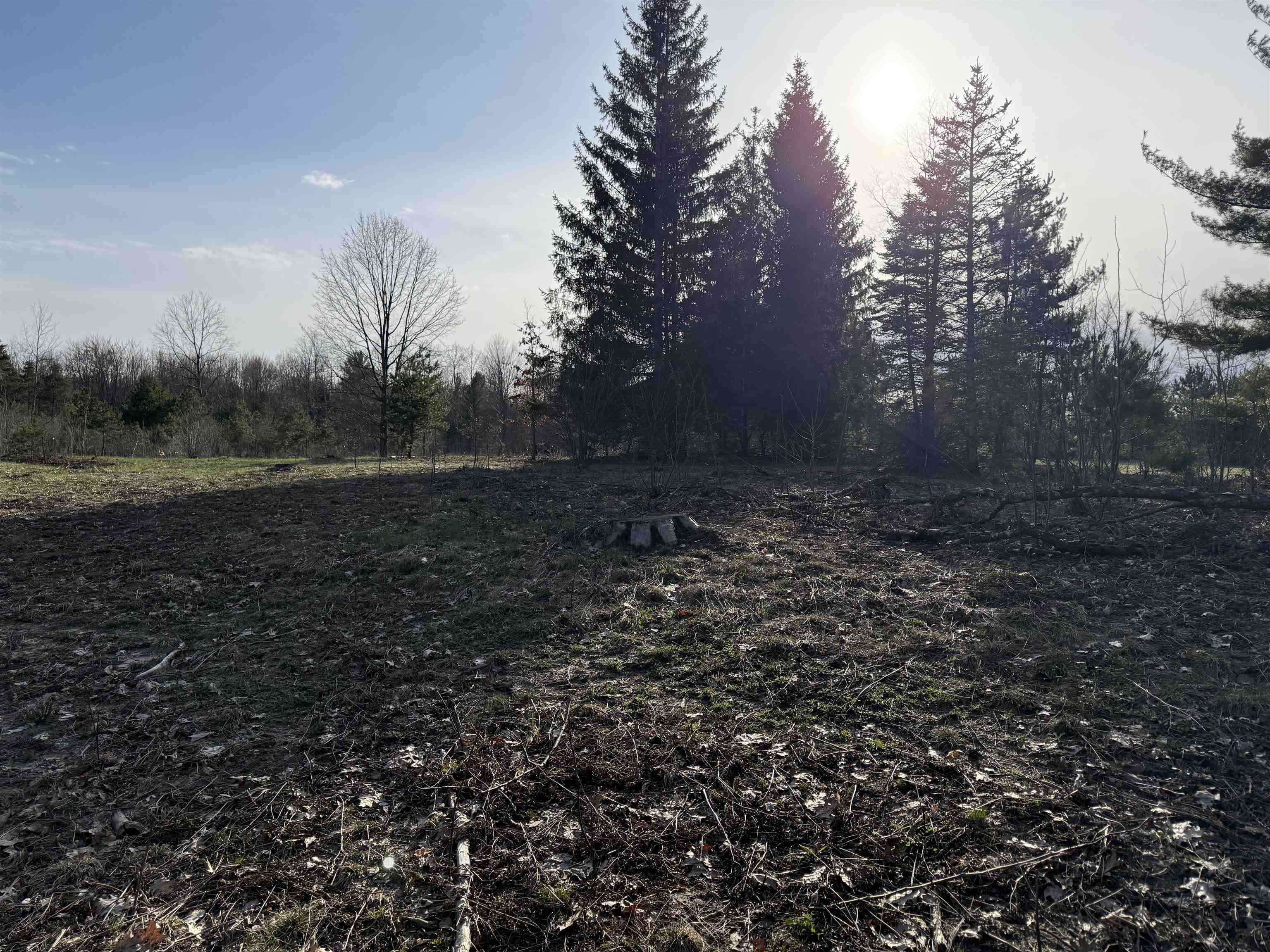 Parcel D North Carmean Road Interlochen, MI 49643 - Photo 9 of 12