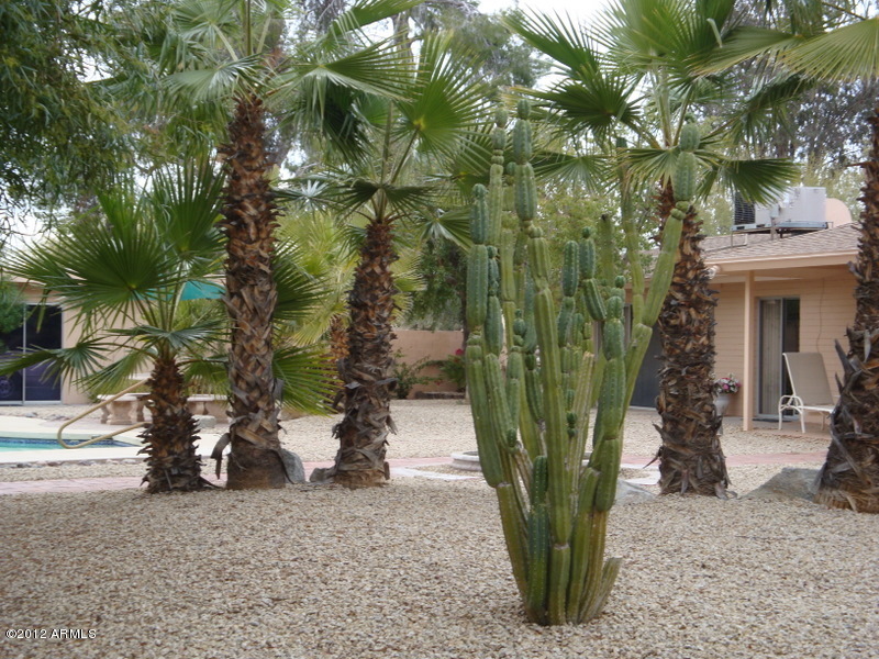 6933 East Doubletree Ranch Road Paradise Valley, AZ 85253 - Photo 11 of 30 a view of a garden