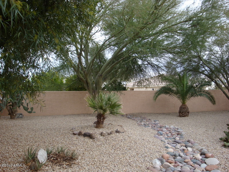 6933 East Doubletree Ranch Road Paradise Valley, AZ 85253 - Photo 18 of 30 a view of a yard with a tree