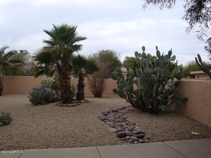 6933 East Doubletree Ranch Road Paradise Valley, AZ 85253 - Photo 19 of 30 a view of a backyard