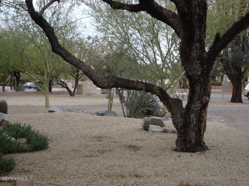 6933 East Doubletree Ranch Road Paradise Valley, AZ 85253 - Photo 3 of 30 a view of outdoor space with trees