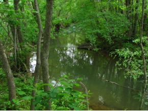255 Houston Valley Road Greeneville, TN 37743 - Photo 13 of 15 More Creek