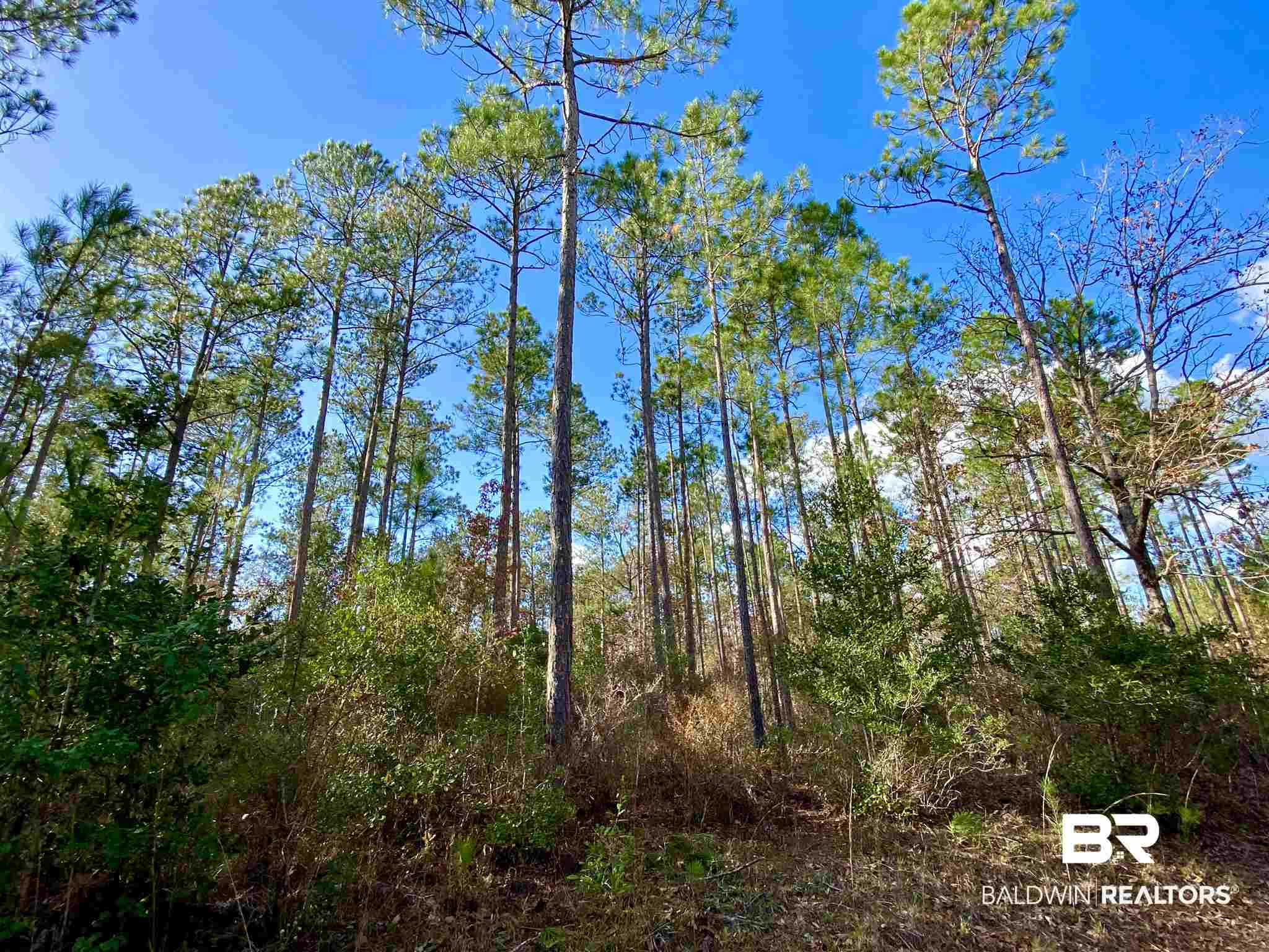0 Whitetail Run Chatom, AL 36518 - Photo 27 of 29