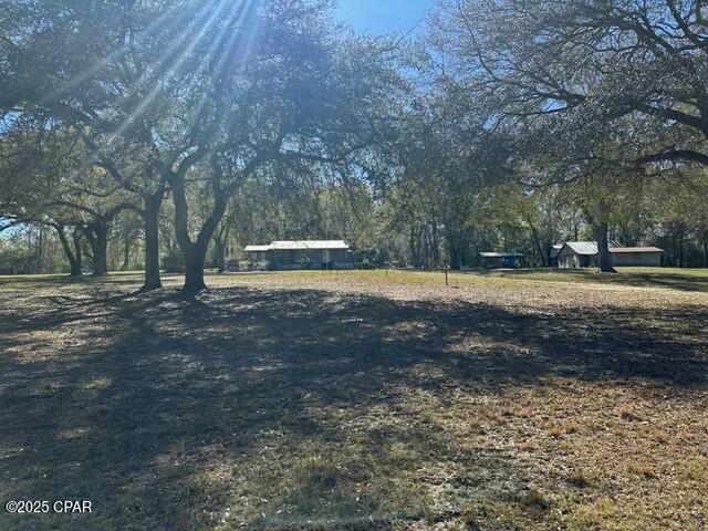 3511 Pipkin Road Bonifay, FL 32425 - Photo 5 of 46 Gallery Image 5