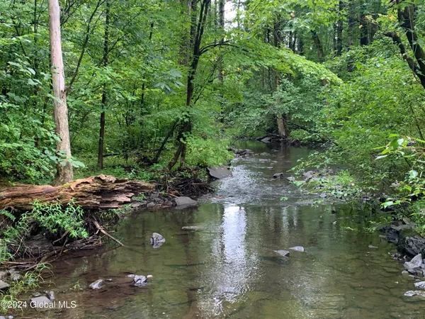 $450,000 | L24.1 L24.1 Saddlemire Hill Road, Central Bridge, NY 12035