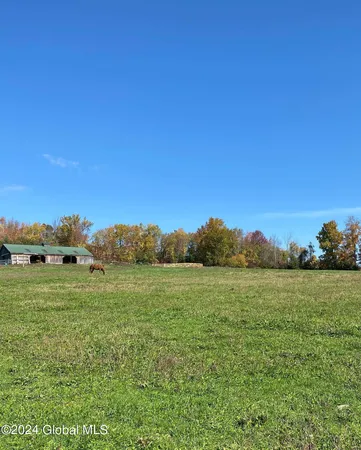 $450,000 | L24.1 L24.1 Saddlemire Hill Road, Central Bridge, NY 12035