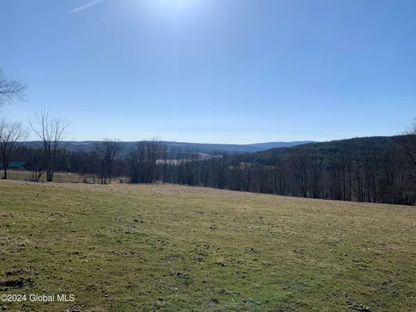 $450,000 | L24.1 L24.1 Saddlemire Hill Road, Central Bridge, NY 12035