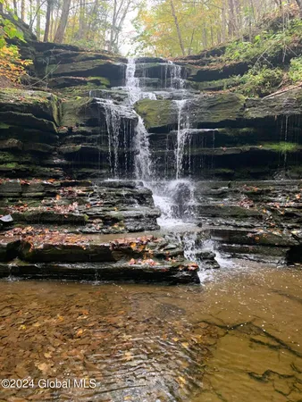 $450,000 | L24.1 L24.1 Saddlemire Hill Road, Central Bridge, NY 12035