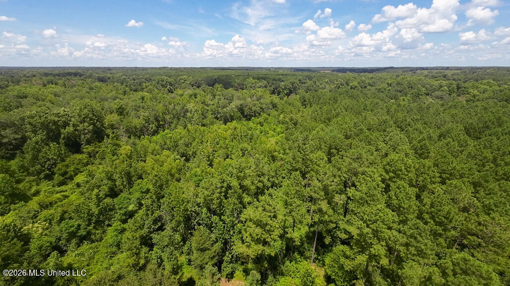 1026 Mt Olive Road Mount Olive, MS 39119 - Photo 57 of 63 A-26