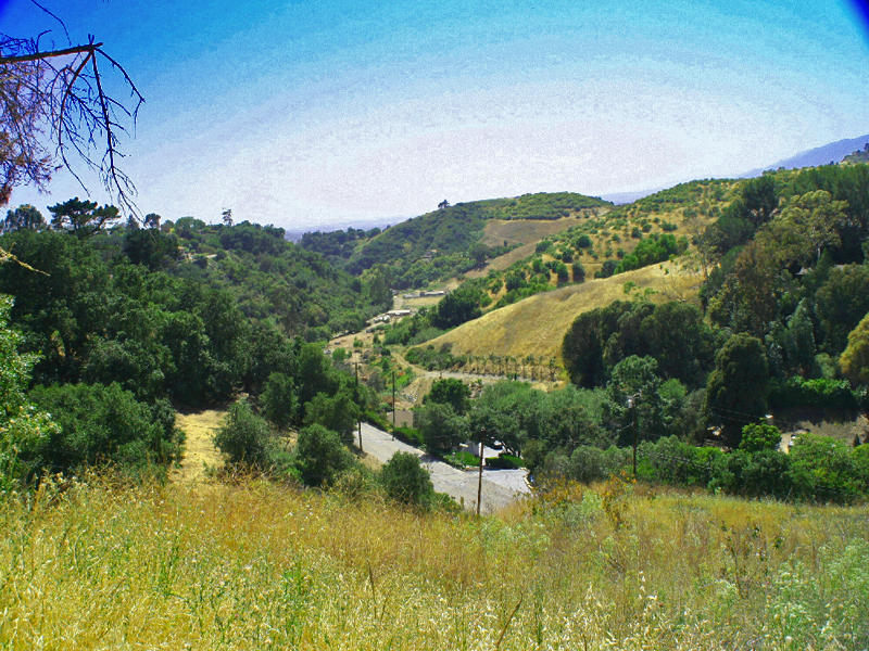 PalominoRoad