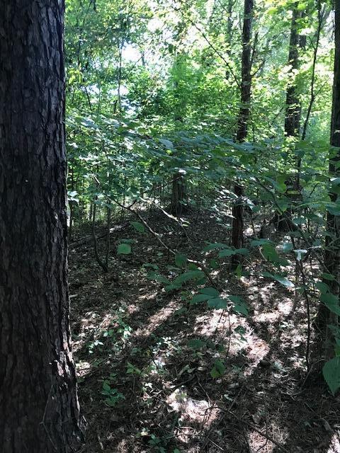 18 Athens Road Calhoun, TN 37309 - Photo 11 of 11 CHestuee 18 tree