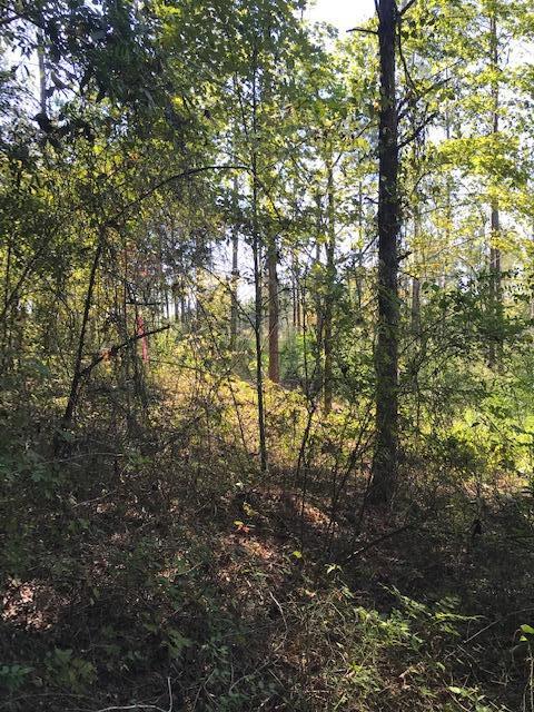 18 Athens Road Calhoun, TN 37309 - Photo 7 of 11 Chestuee 17 18 line