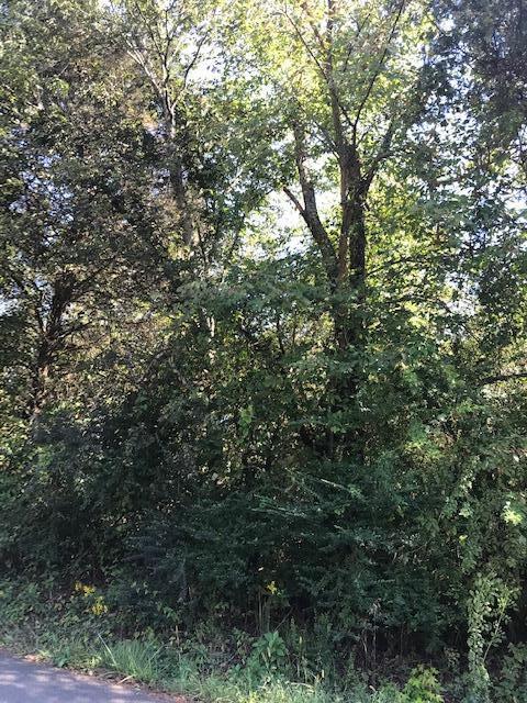 18 Athens Road Calhoun, TN 37309 - Photo 10 of 11 CHestuee 18 roadfront