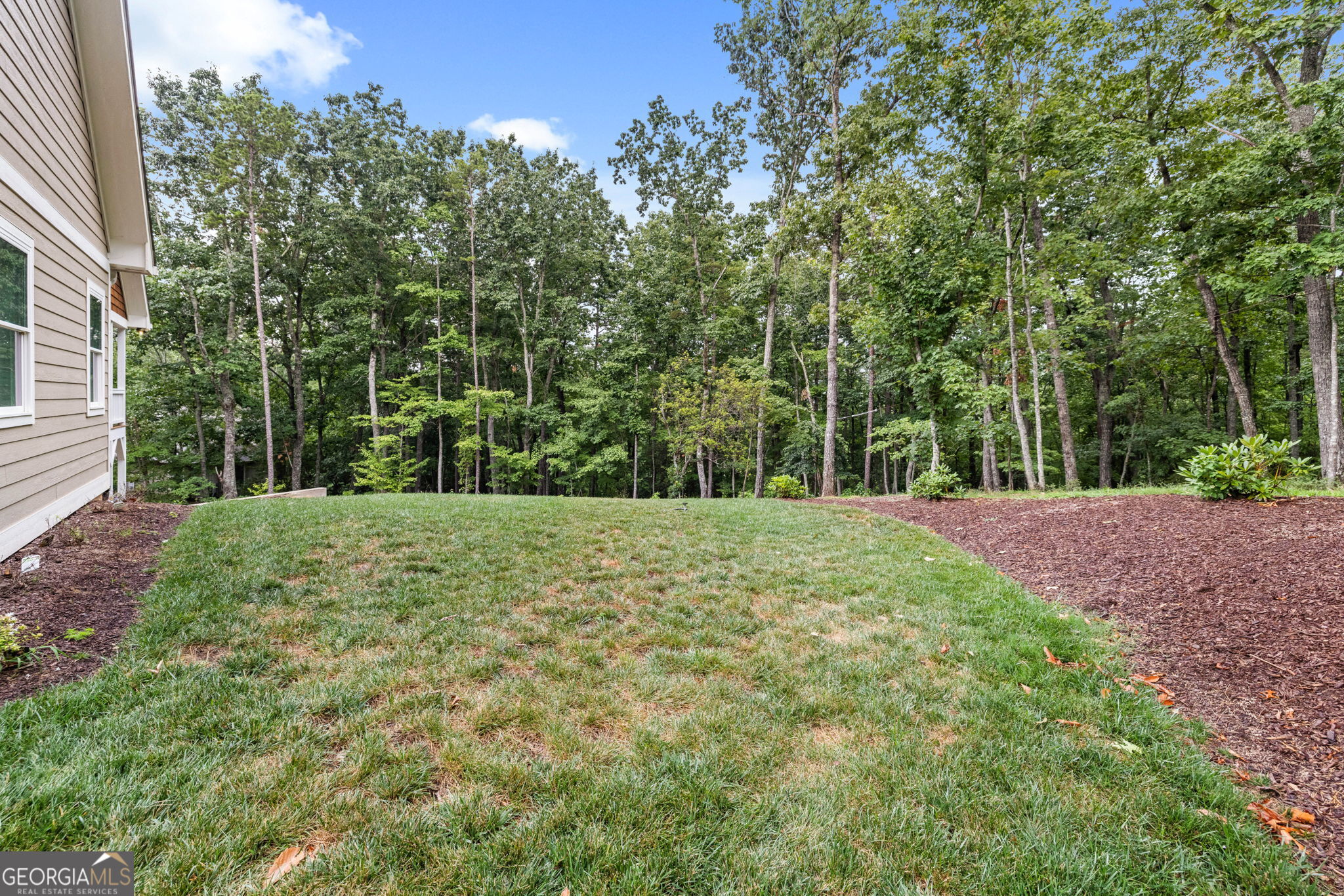 373 McIntosh Road Clarkesville, GA 30523 - Photo 34 of 92