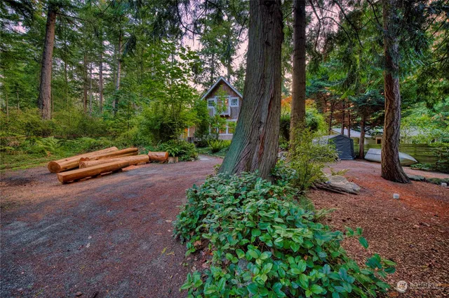 a wooden bench sitting in middle of the forest