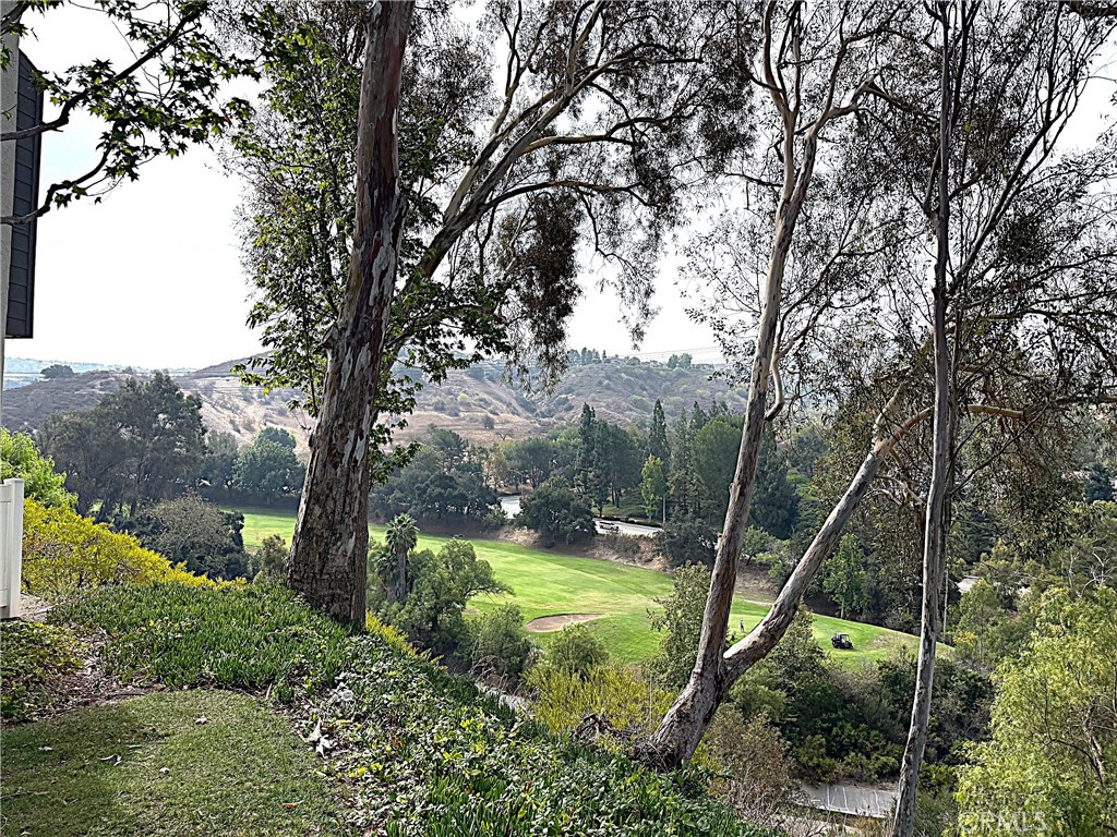 545 South Ranch View Circle, Unit 97 Anaheim Hills, CA 92807 - Photo 30 of 33