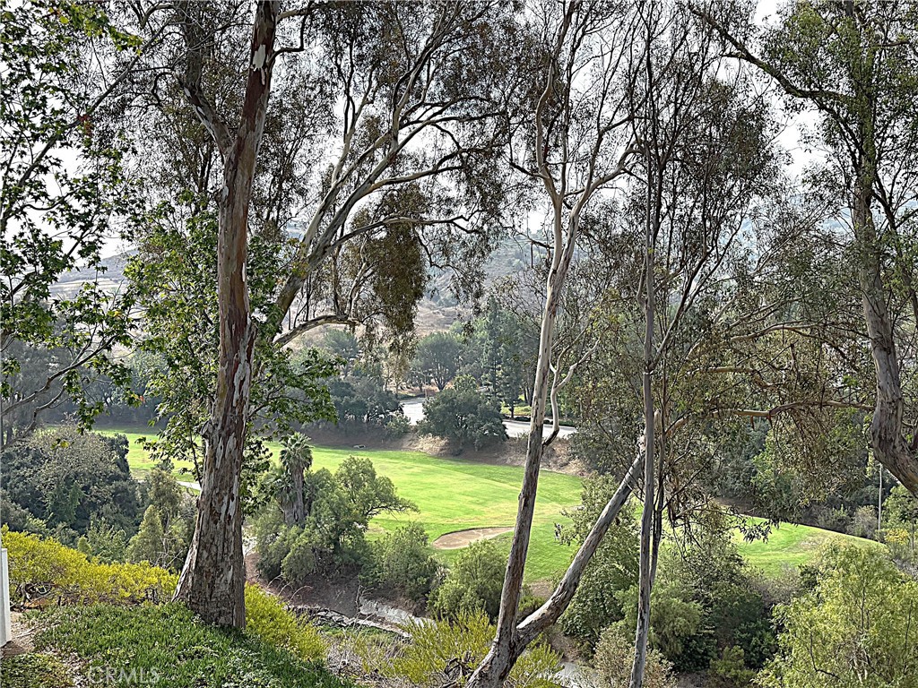545 South Ranch View Circle, Unit 97 Anaheim Hills, CA 92807 - Photo 31 of 33 a view of yard