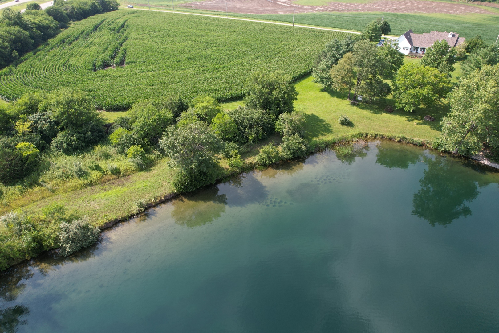 4 Moss Lake Road Farmer City, IL 61842 - Photo 1 of 12 a view of a lake with a yard