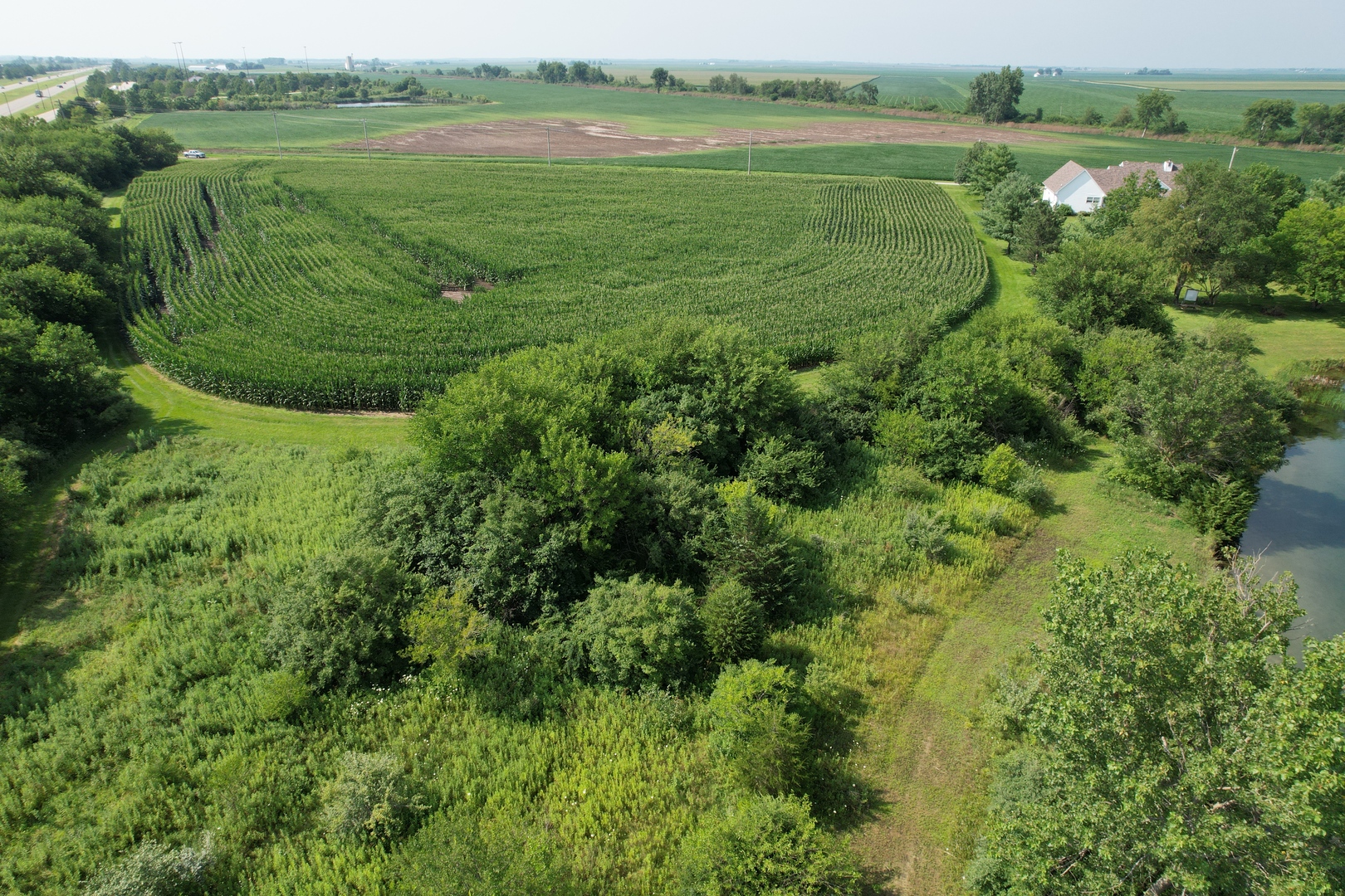 4 Moss Lake Road Farmer City, IL 61842 - Photo 11 of 12 a view of a green field with an ocean view