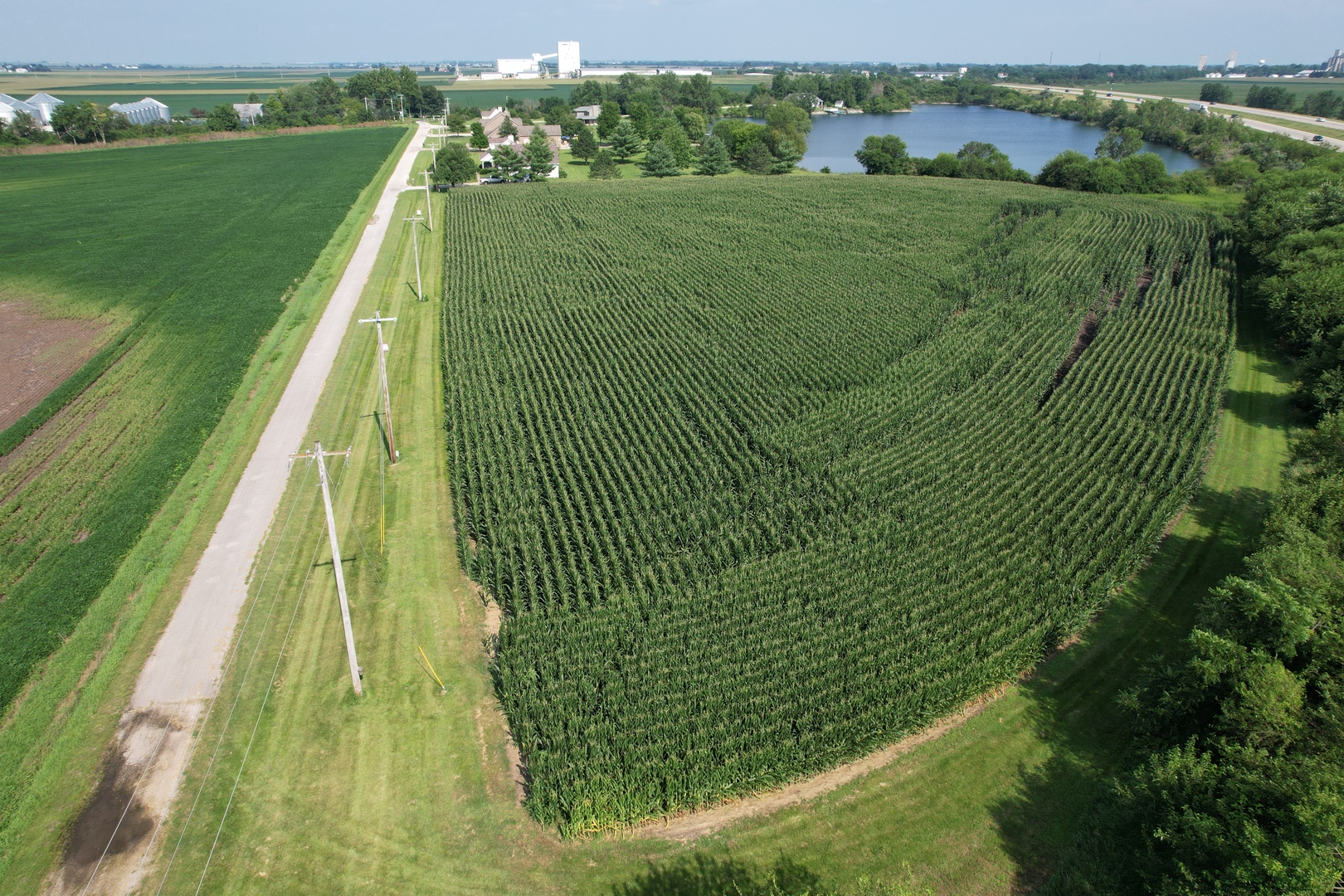 4 Moss Lake Road Farmer City, IL 61842 - Photo 12 of 12 a view of a green field