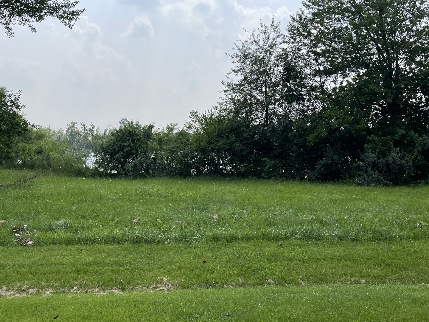 4 Moss Lake Road Farmer City, IL 61842 - Photo 7 of 12 a view of a grassy field