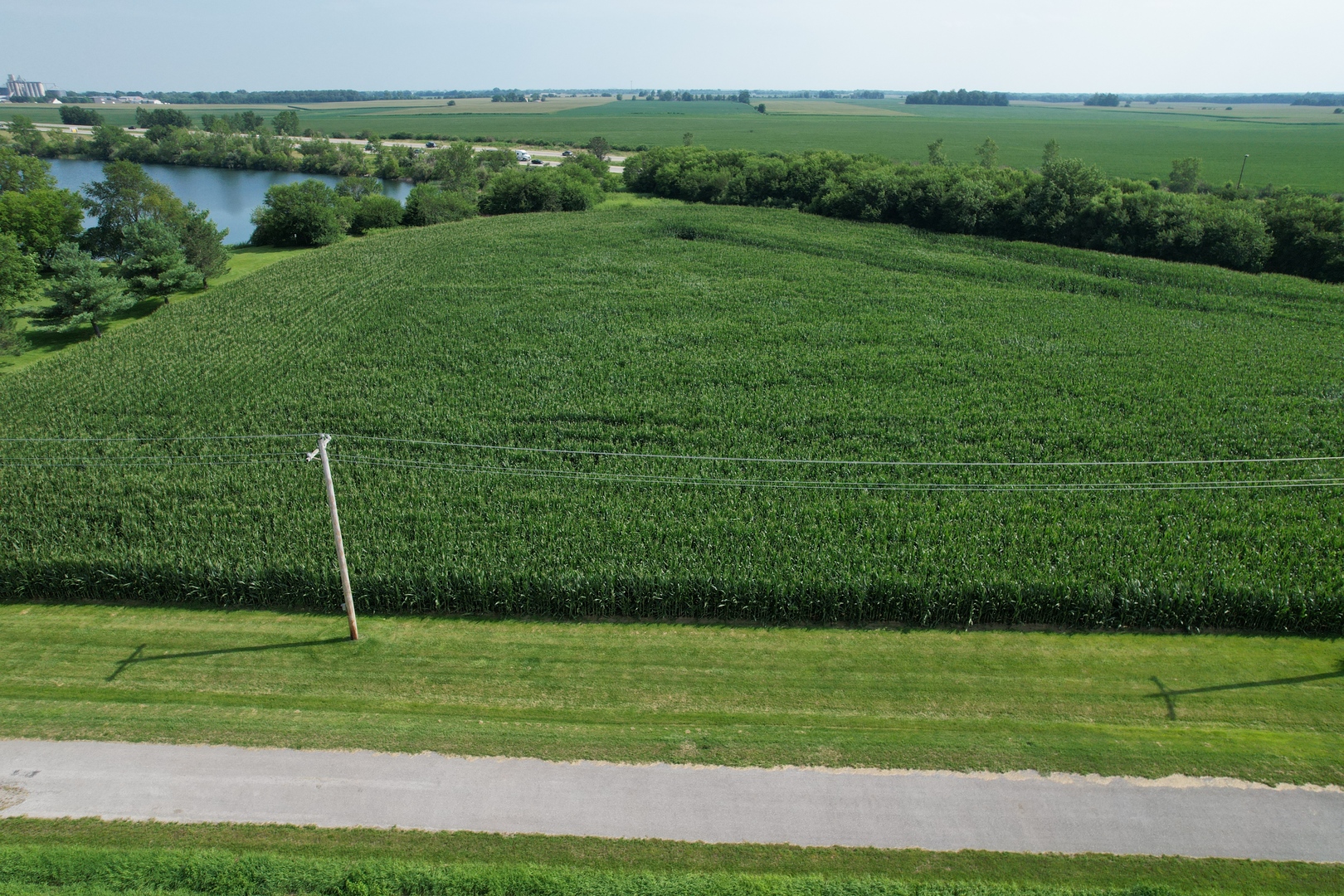4 Moss Lake Road Farmer City, IL 61842 - Photo 8 of 12 a view of a grassy field