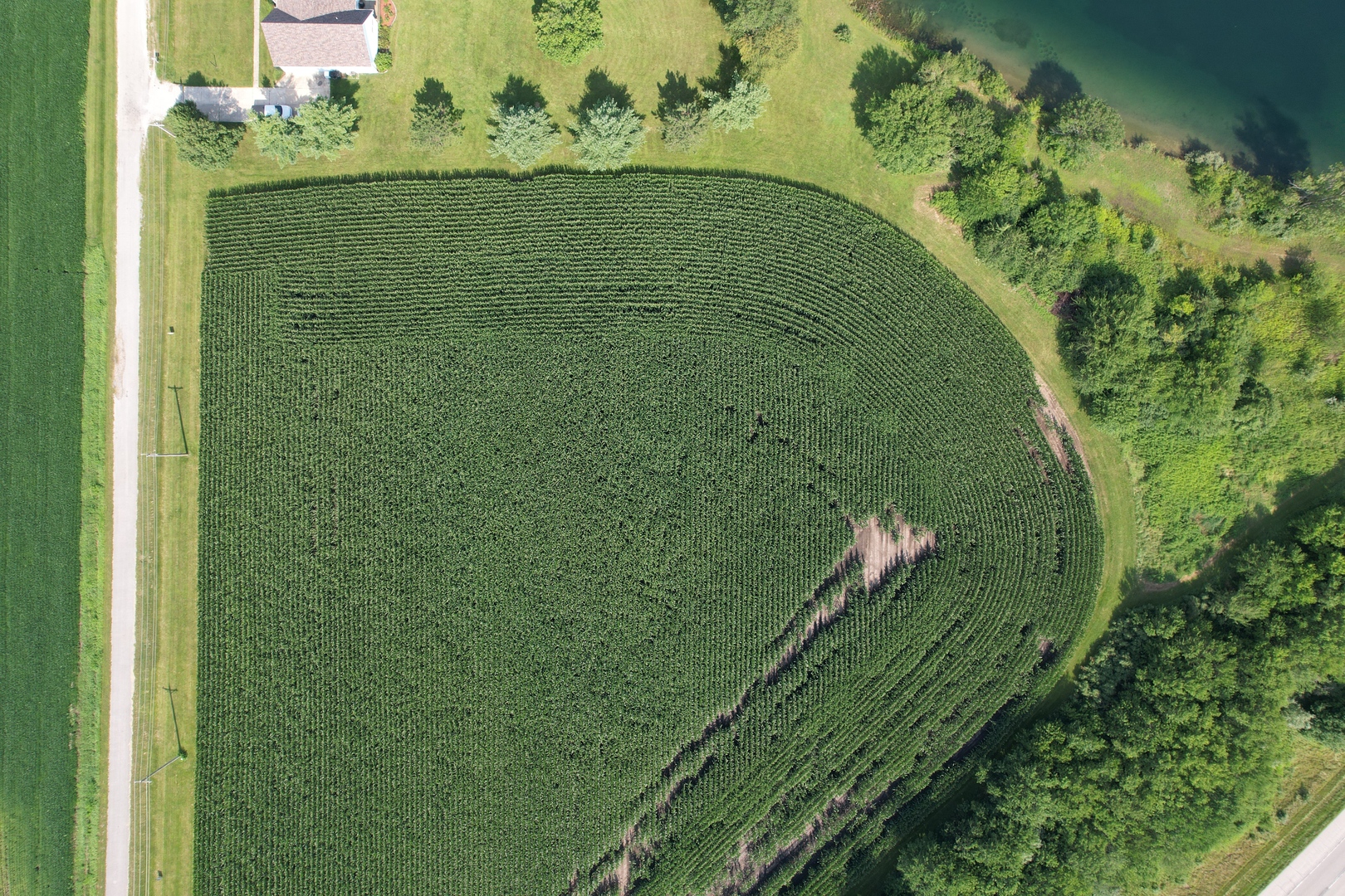 4 Moss Lake Road Farmer City, IL 61842 - Photo 9 of 12 a view of a lake from a balcony