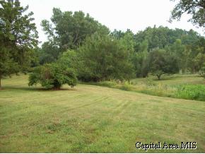 21458 Chandlerville Road Virginia, IL 62691 - Photo 6 of 9