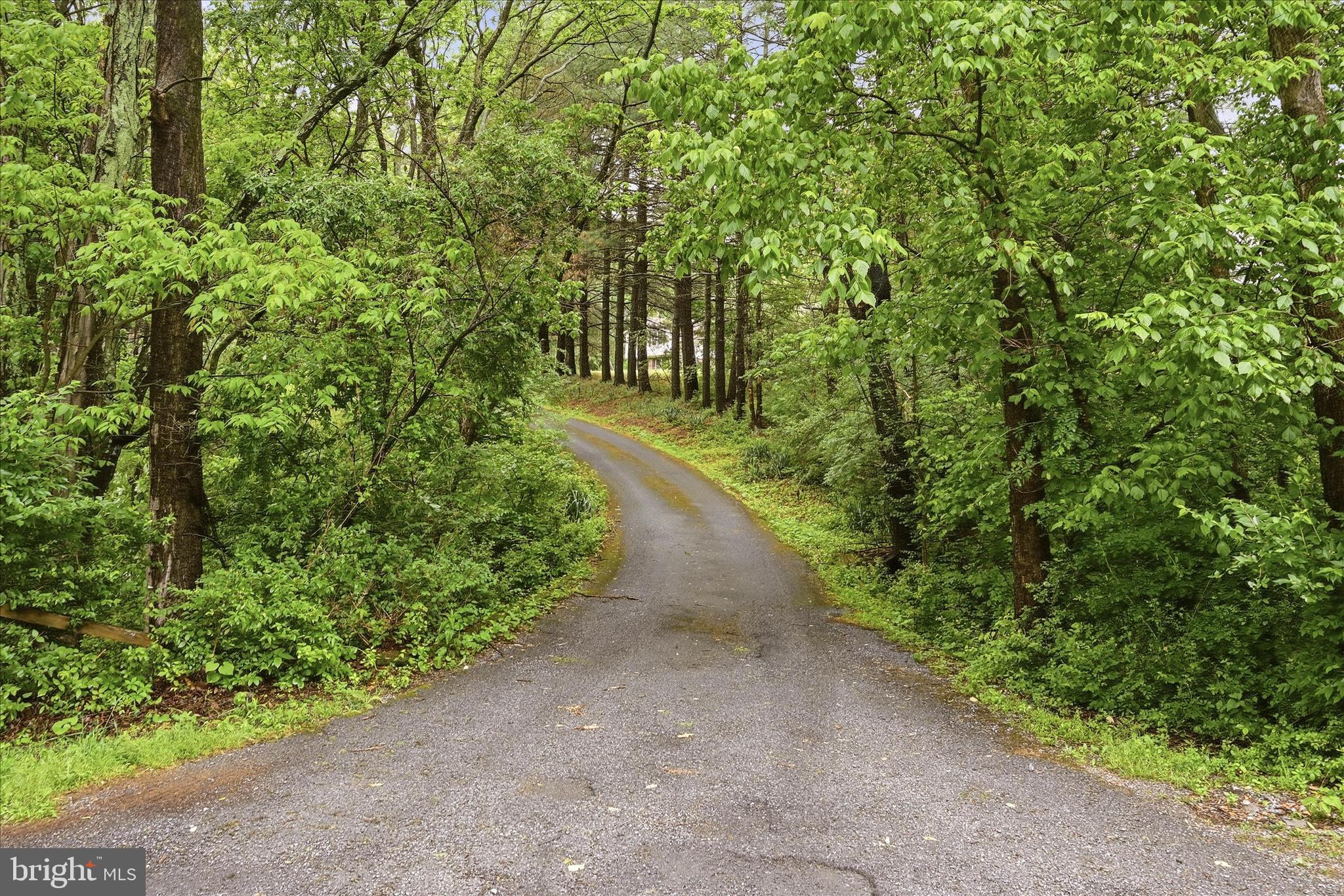 244 High Banks Road Stephenson, VA 22656 - Photo 39 of 45 a view of a yard with plants and trees