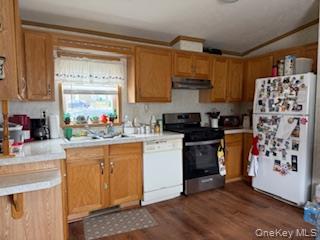 115 Winding Wood Road Hopewell Junction, NY 12533 - Photo 11 of 17 a kitchen with stainless steel appliances a stove a sink and a refrigerator