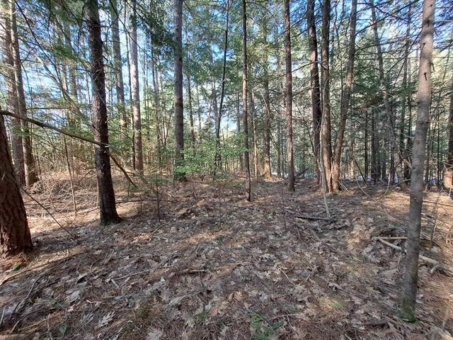 19 Beacon Hill Road Thornton, NH 03285 - Photo 1 of 1