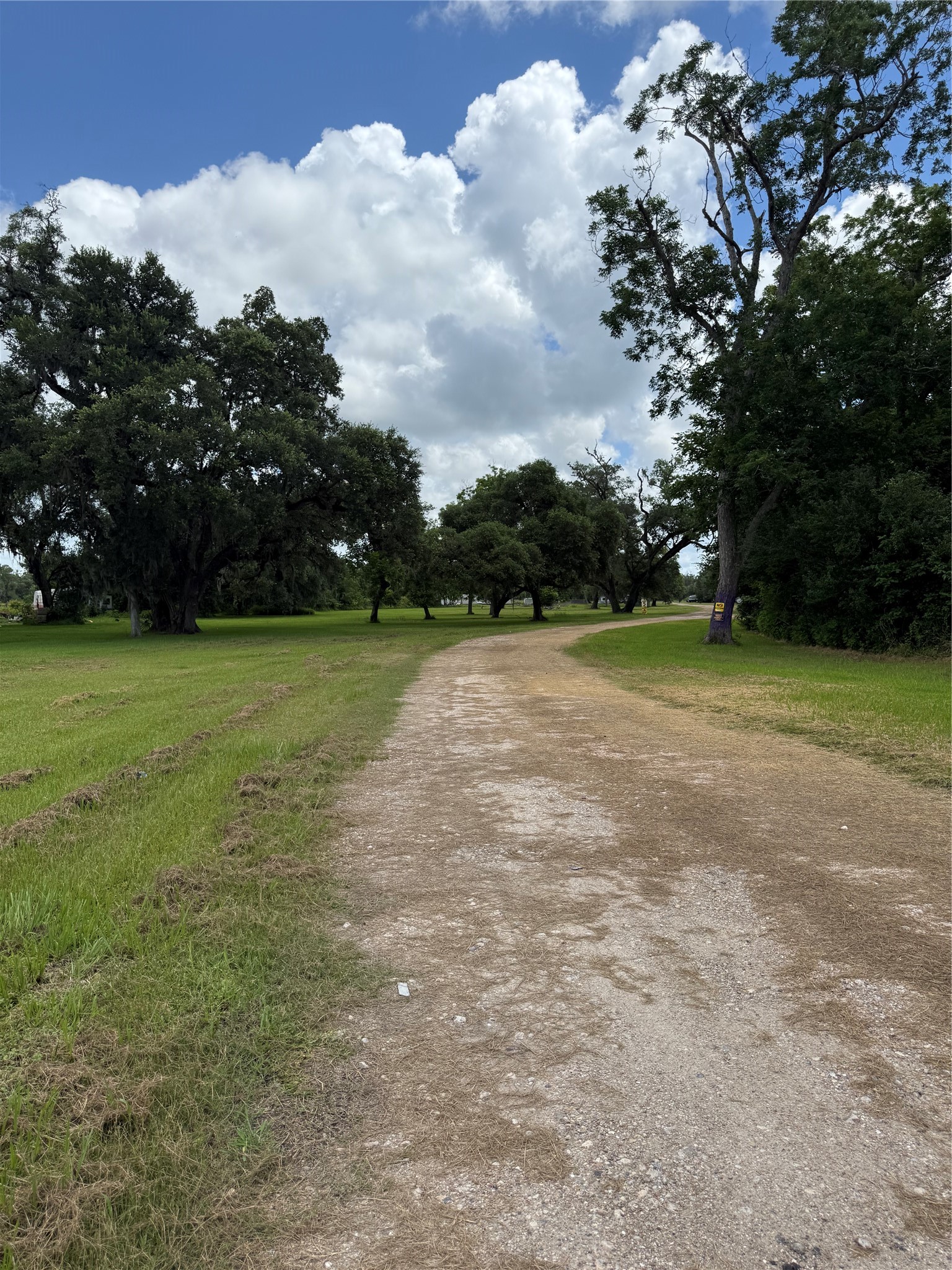 9339 FM 524 Road Sweeny, TX 77480 - Photo 7 of 16 LOOKING TOWARD BACK OF PARK