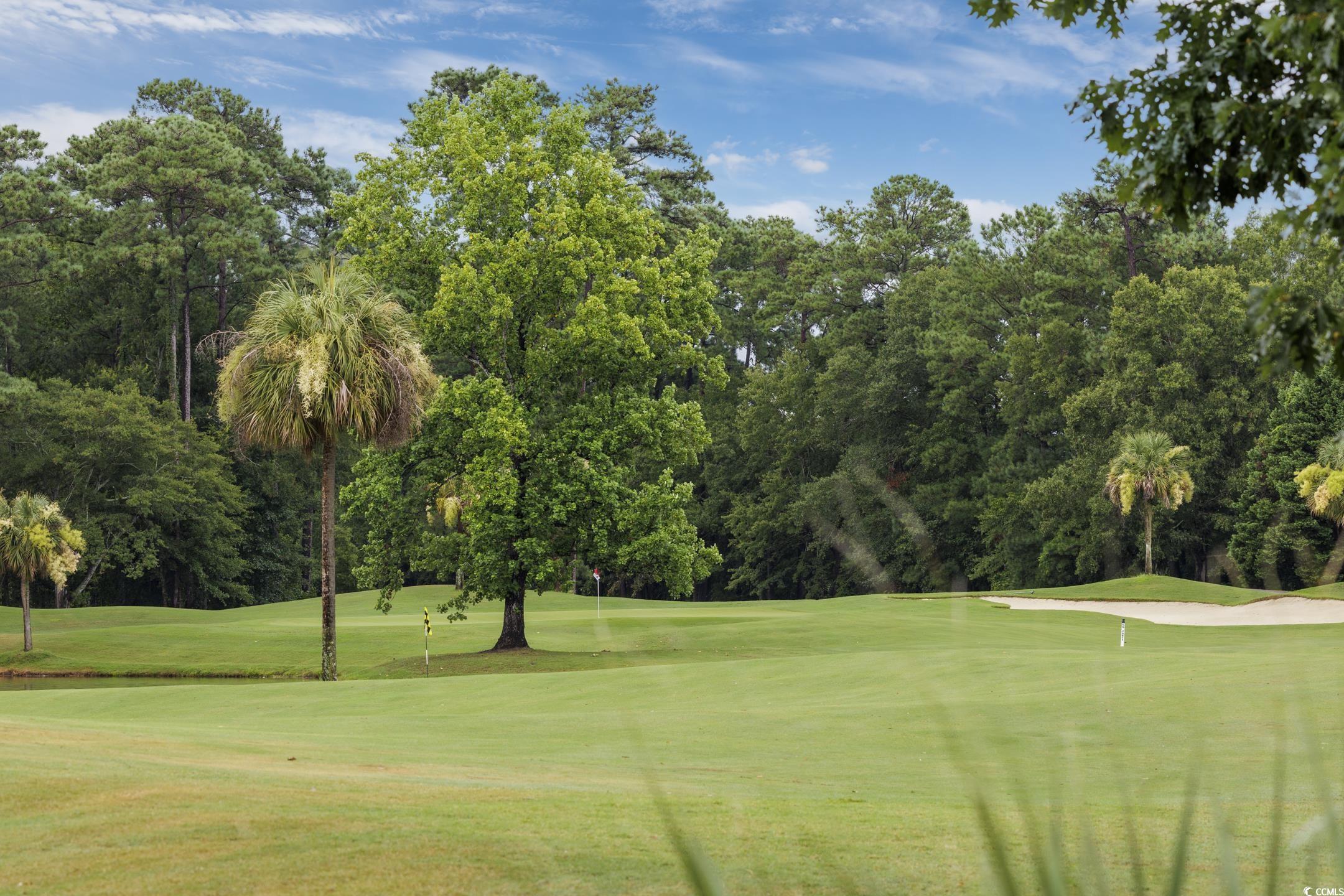 137 Herrmann Ridge Court Myrtle Beach, SC 29579 - Photo 36 of 40 Gallery Image 36
