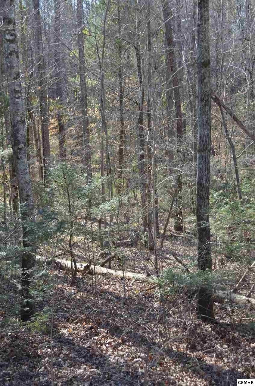 0 Tom Henry Road Townsend, TN 37882 - Photo 5 of 5 Gallery Image 5