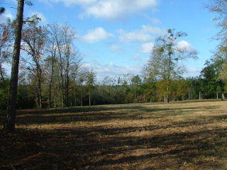297 Fox Trotter Road Wagener, SC 29164 - Photo 1 of 1