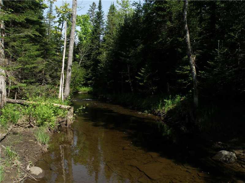 0 Wildwood Road Sangerville, ME 04479 - Photo 4 of 9 Land. shallow but constantly moving...