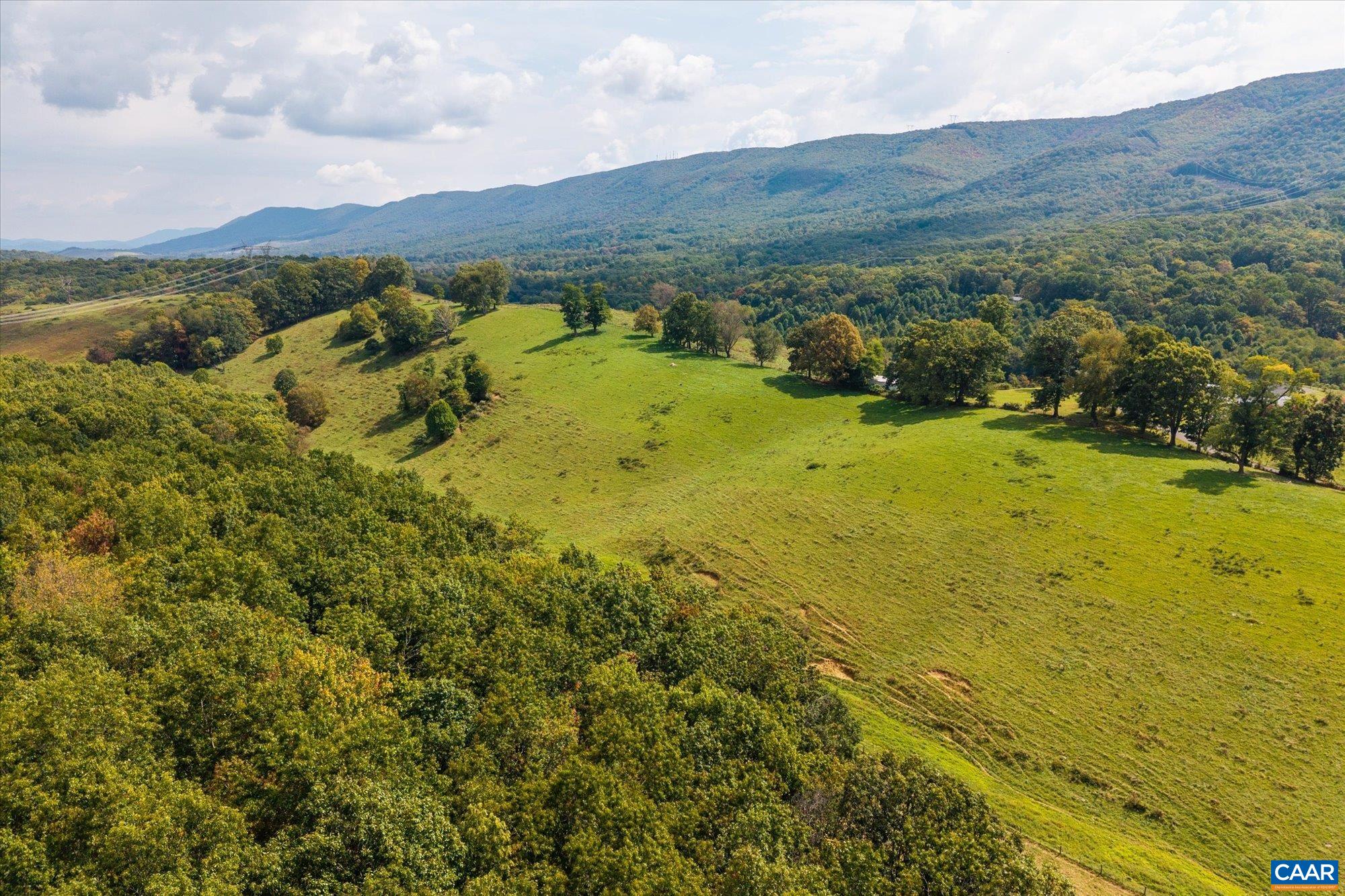 3225 Lynn Hollow Road North Tazewell, VA 24630 - Photo 13 of 62