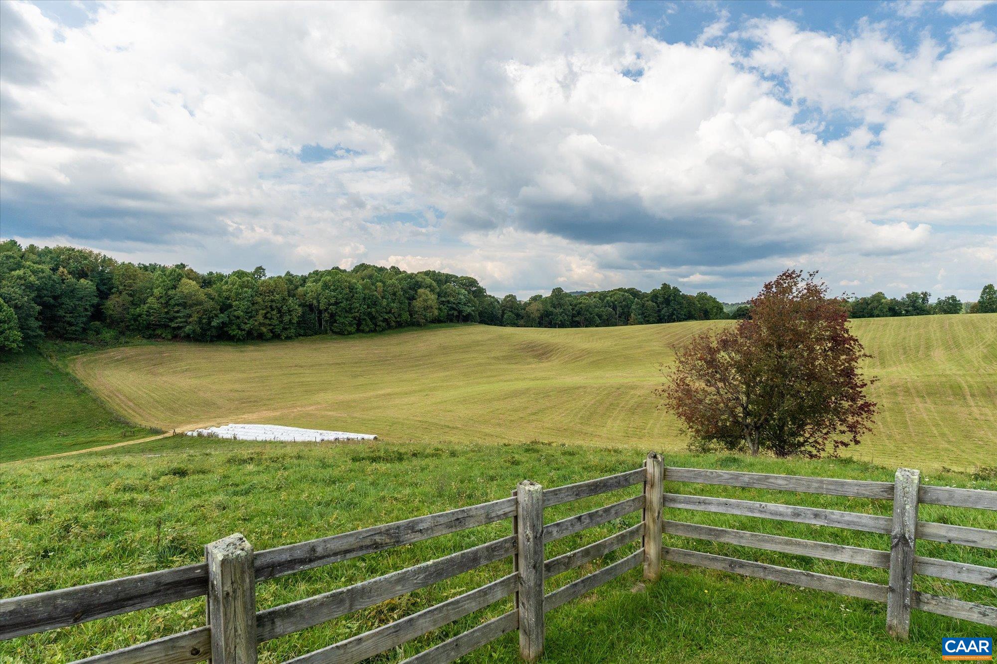 3225 Lynn Hollow Road North Tazewell, VA 24630 - Photo 57 of 62