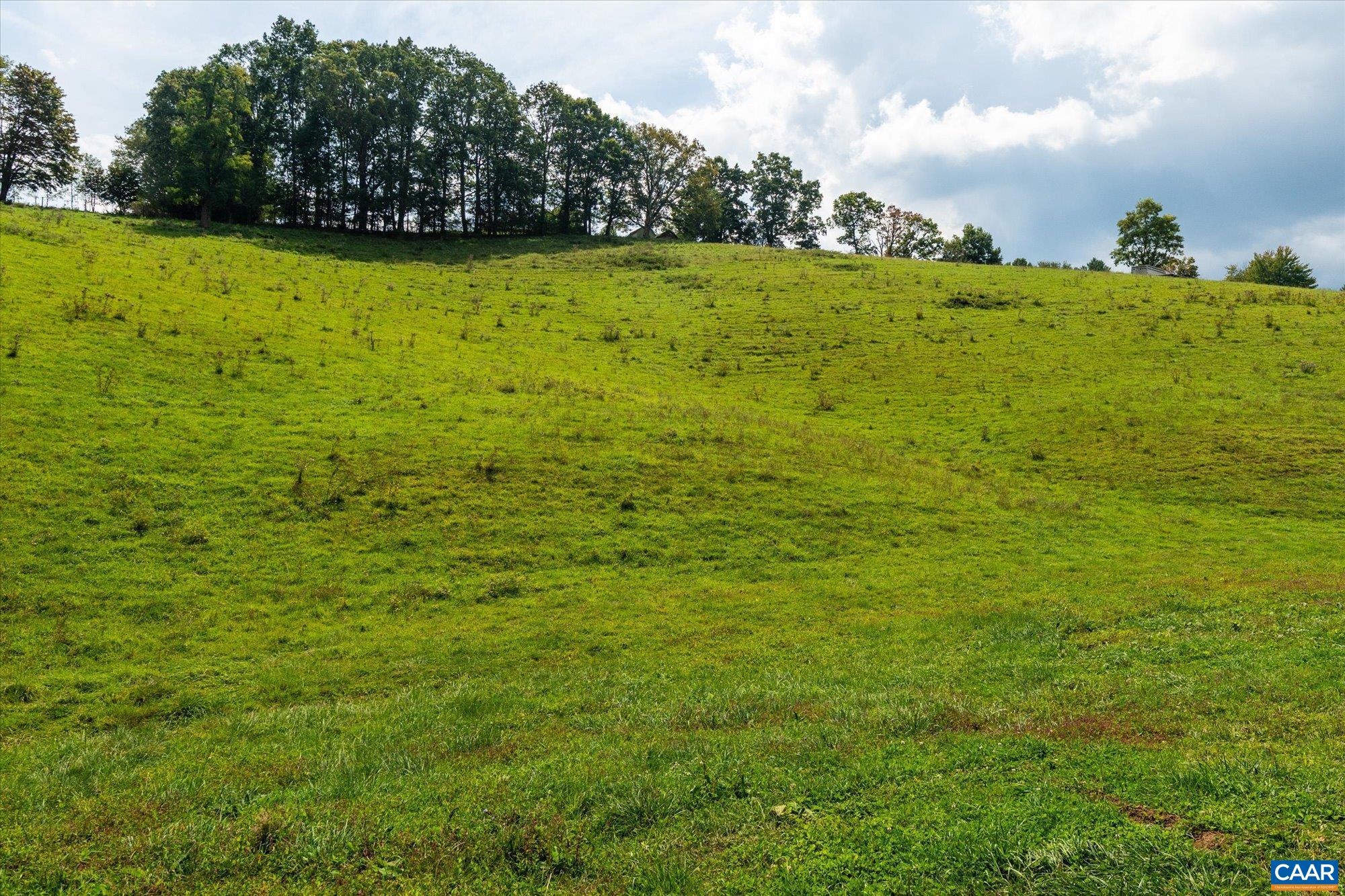 3225 Lynn Hollow Road North Tazewell, VA 24630 - Photo 60 of 62