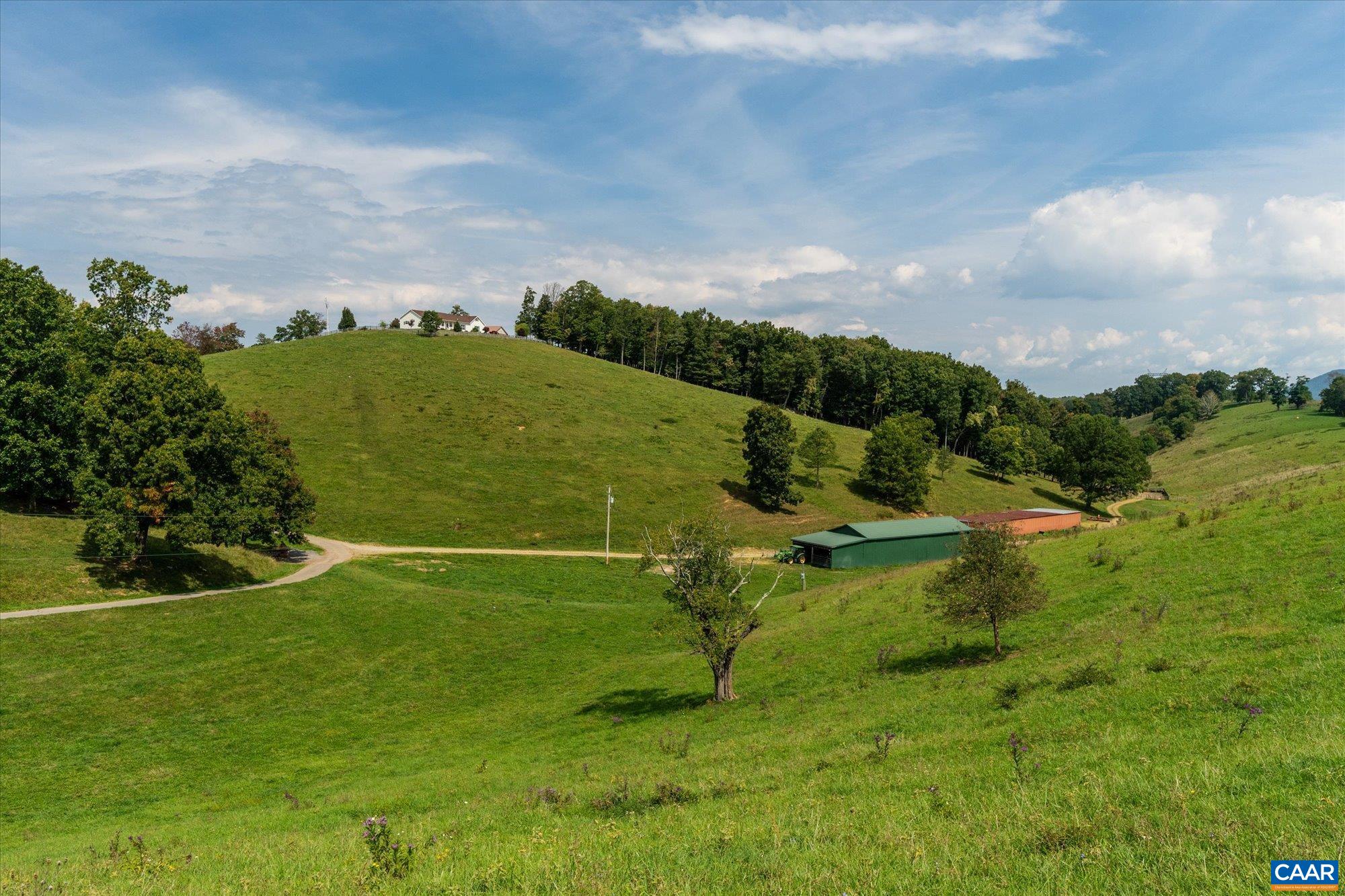 3225 Lynn Hollow Road North Tazewell, VA 24630 - Photo 61 of 62 a view of a big yard with potted plants and large trees