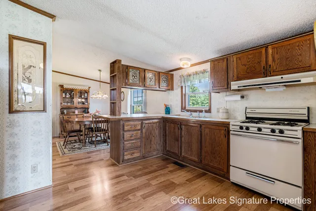 $250,000 | 16856 West Stanton Road, Trufant, MI 49347